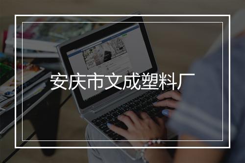 安庆市文成塑料厂