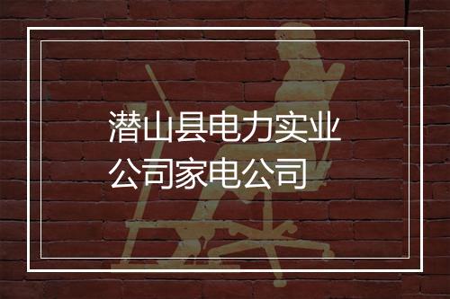 潜山县电力实业公司家电公司