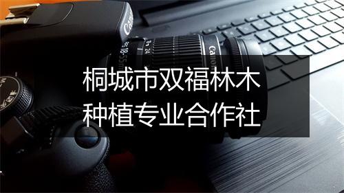 桐城市双福林木种植专业合作社