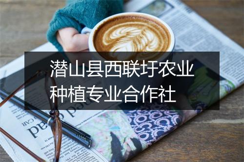 潜山县西联圩农业种植专业合作社