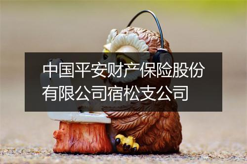 中国平安财产保险股份有限公司宿松支公司