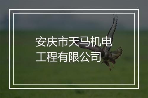 安庆市天马机电工程有限公司