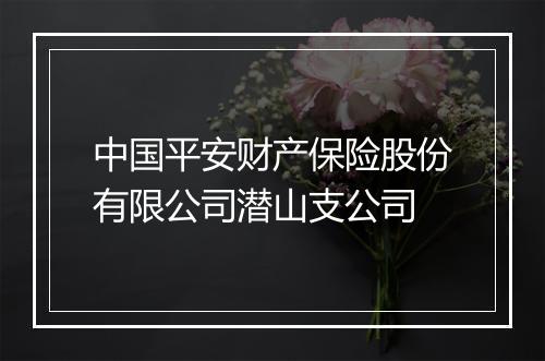 中国平安财产保险股份有限公司潜山支公司