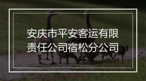 安庆市平安客运有限责任公司宿松分公司