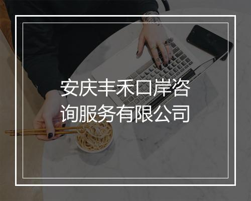 安庆丰禾口岸咨询服务有限公司