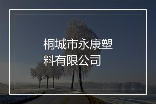 桐城市永康塑料有限公司