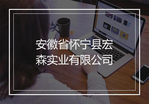 安徽省怀宁县宏森实业有限公司
