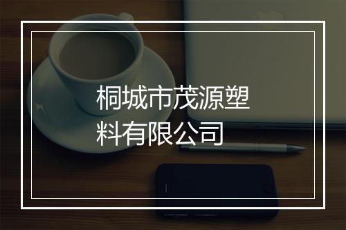 桐城市茂源塑料有限公司