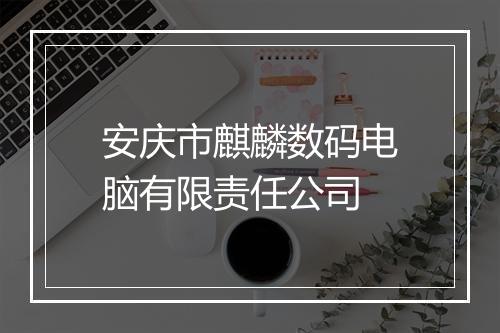 安庆市麒麟数码电脑有限责任公司