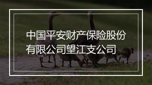 中国平安财产保险股份有限公司望江支公司