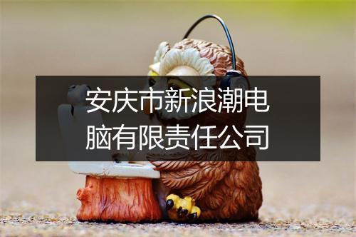 安庆市新浪潮电脑有限责任公司