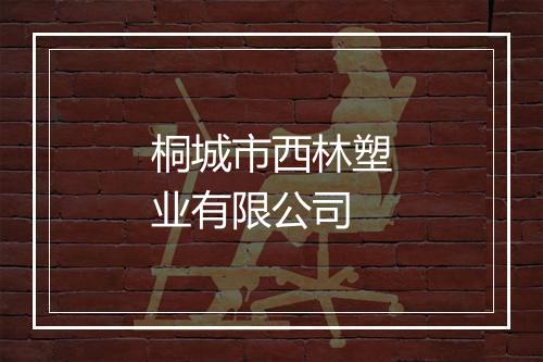 桐城市西林塑业有限公司