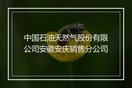 中国石油天然气股份有限公司安徽安庆销售分公司