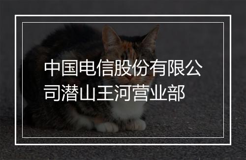 中国电信股份有限公司潜山王河营业部