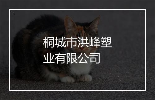桐城市洪峰塑业有限公司
