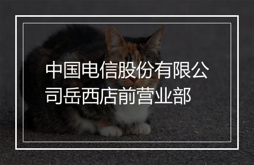 中国电信股份有限公司岳西店前营业部