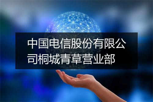 中国电信股份有限公司桐城青草营业部