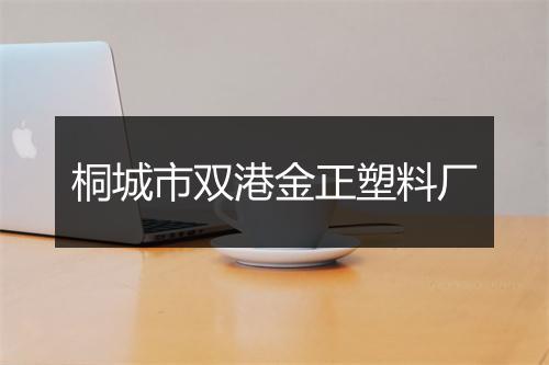 桐城市双港金正塑料厂
