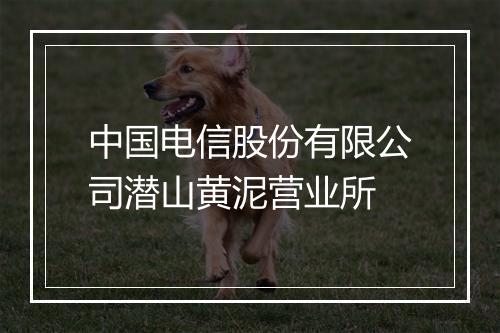 中国电信股份有限公司潜山黄泥营业所