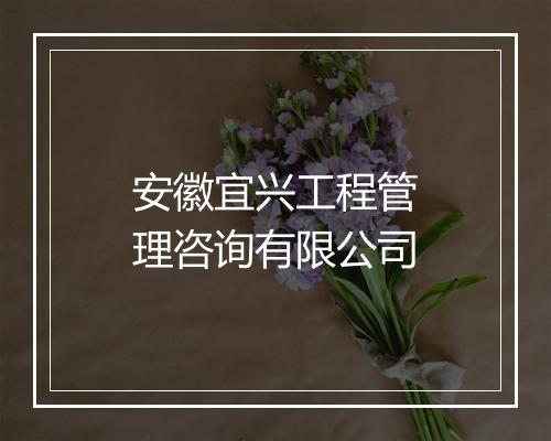 安徽宜兴工程管理咨询有限公司