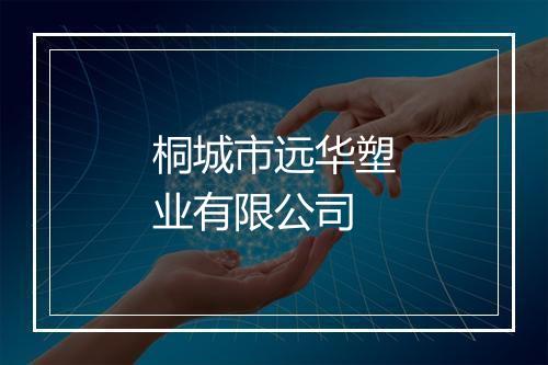 桐城市远华塑业有限公司
