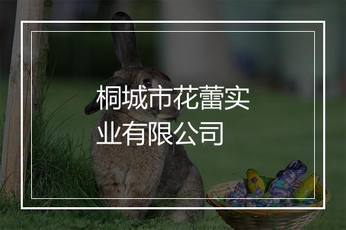 桐城市花蕾实业有限公司