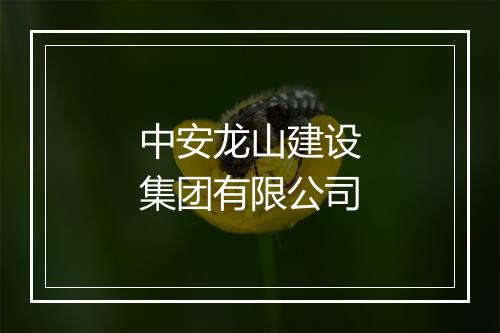 中安龙山建设集团有限公司