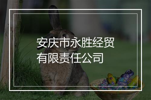 安庆市永胜经贸有限责任公司
