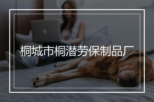 桐城市桐潜劳保制品厂