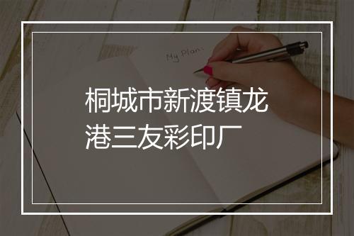 桐城市新渡镇龙港三友彩印厂