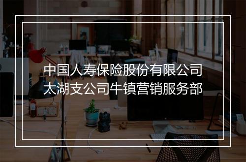 中国人寿保险股份有限公司太湖支公司牛镇营销服务部