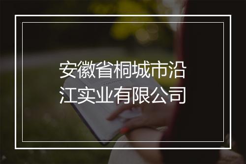 安徽省桐城市沿江实业有限公司