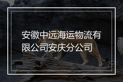 安徽中远海运物流有限公司安庆分公司