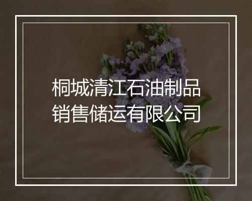 桐城清江石油制品销售储运有限公司