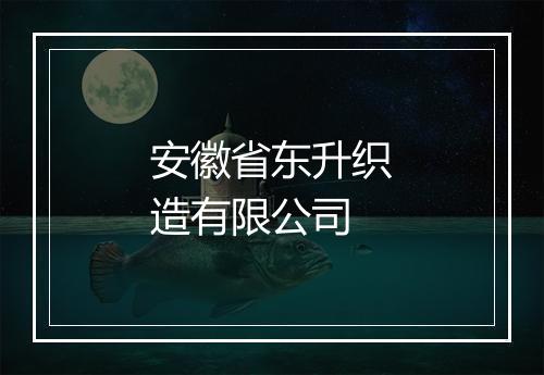 安徽省东升织造有限公司
