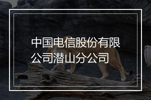 中国电信股份有限公司潜山分公司
