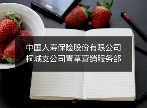 中国人寿保险股份有限公司桐城支公司青草营销服务部