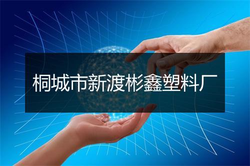 桐城市新渡彬鑫塑料厂