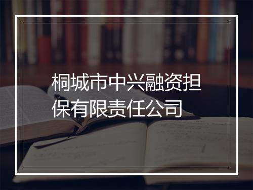 桐城市中兴融资担保有限责任公司