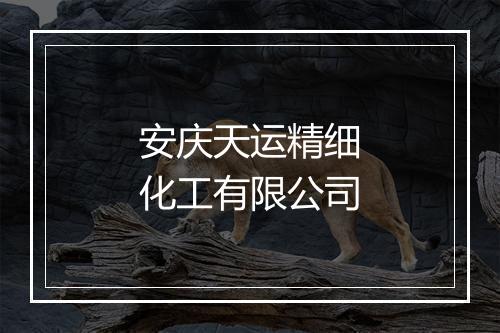 安庆天运精细化工有限公司