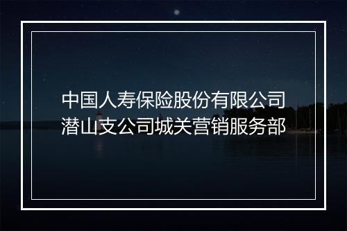 中国人寿保险股份有限公司潜山支公司城关营销服务部