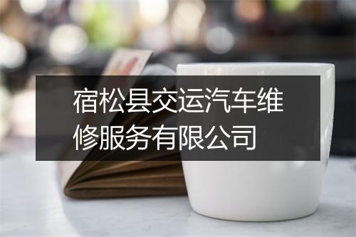 宿松县交运汽车维修服务有限公司