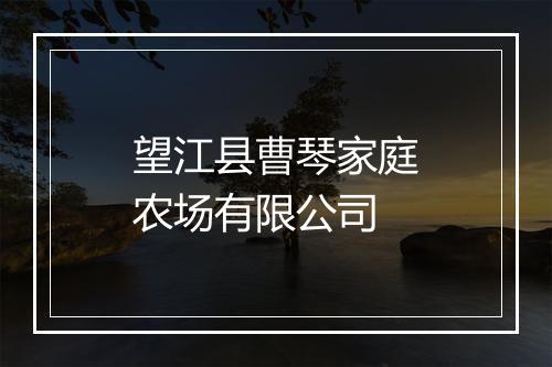 望江县曹琴家庭农场有限公司