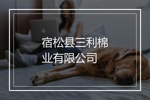 宿松县三利棉业有限公司