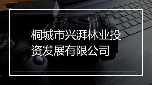 桐城市兴湃林业投资发展有限公司