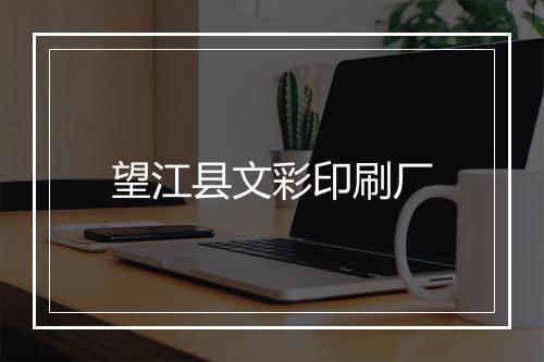 望江县文彩印刷厂