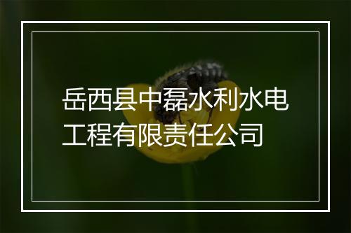 岳西县中磊水利水电工程有限责任公司