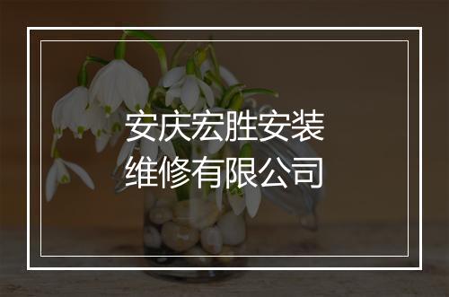 安庆宏胜安装维修有限公司