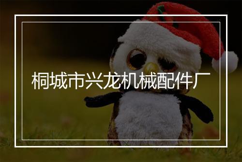 桐城市兴龙机械配件厂