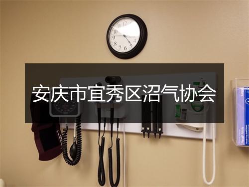 安庆市宜秀区沼气协会